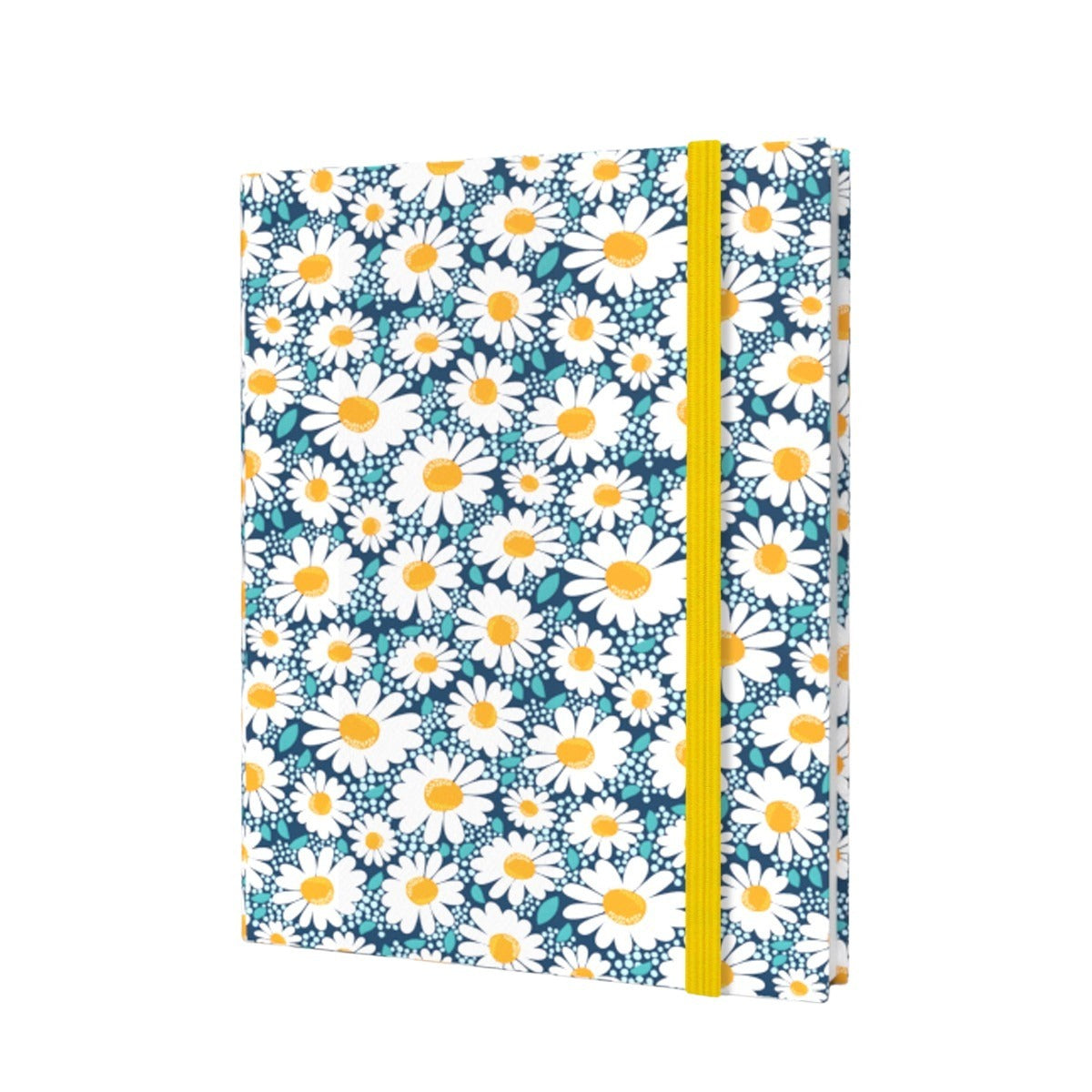Password + Username Log Book | Blue Daisy